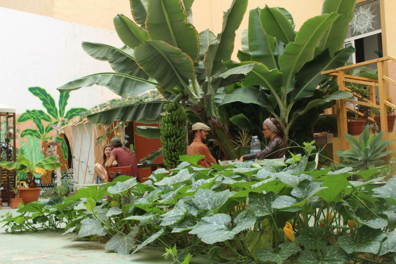 Hostel Tropical House